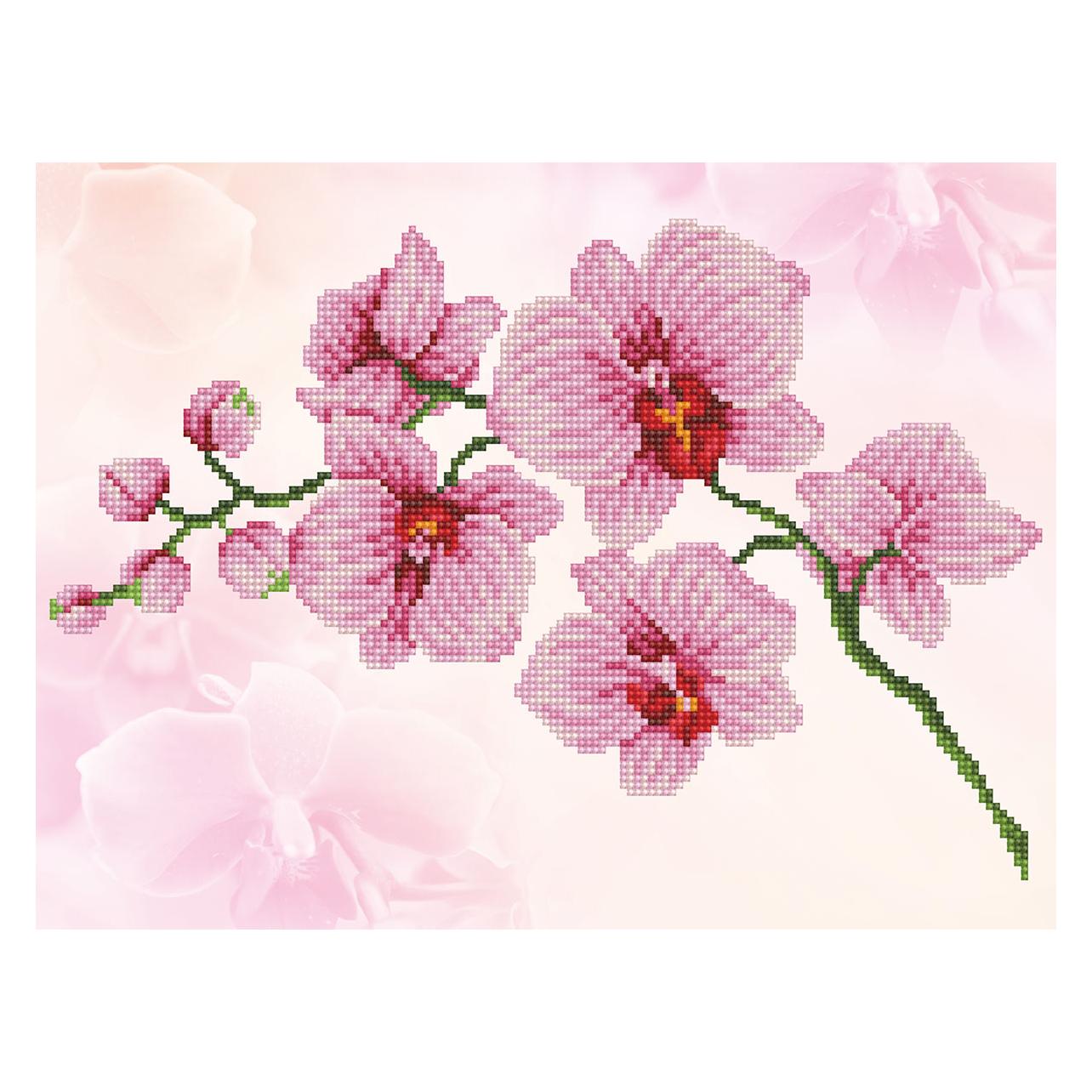 Dante Orchid Spray (DD6.034)