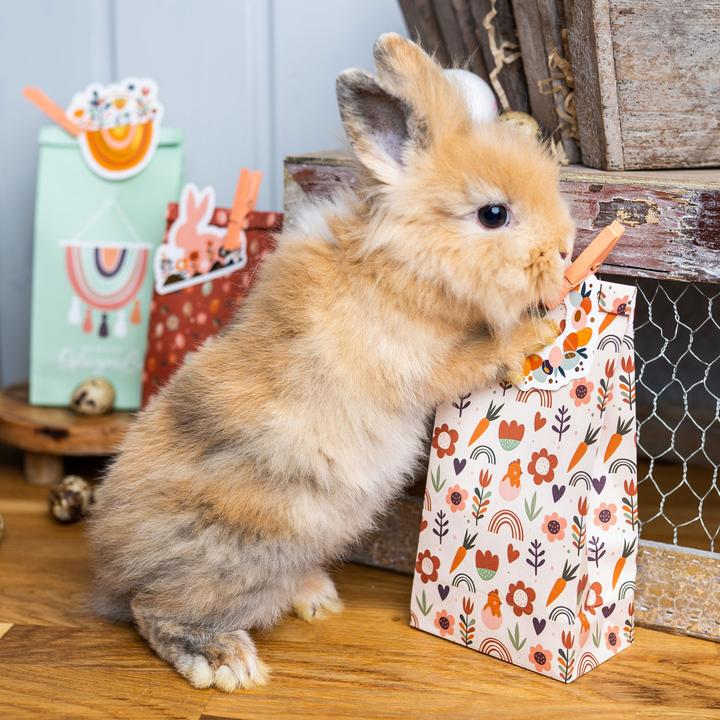 Produktbild Papierdrachen 12 Geschenktüten mit Anhängern zu Ostern - PN3 Boho - Set 9 (Geschenktüte, 12 x)