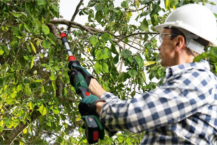 Produktbild Bosch Home & Garden Akku-Gartenschere AdvancedPrune 18V-45 (1x2,0Ah) (long)