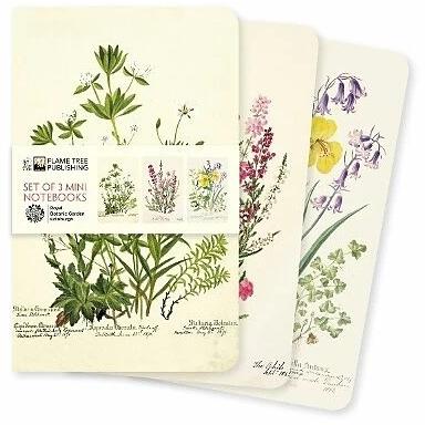 Flame Tree Publishing:Dreier Set Mini-N, Sachbücher von Brown Trout