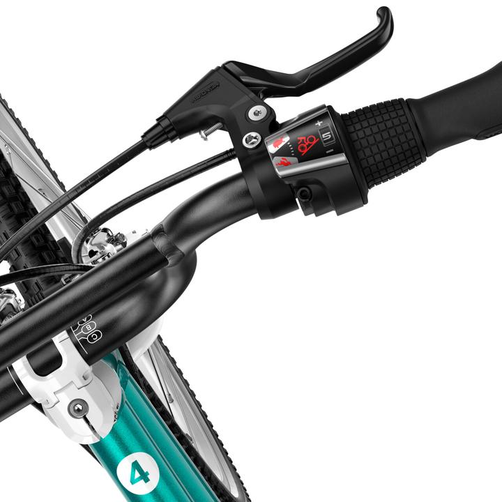 Actual product image woom Go 4 (20")