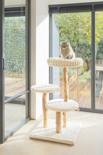 Produktbild Designed by Lotte Kratzmöbel Raja (Creme)