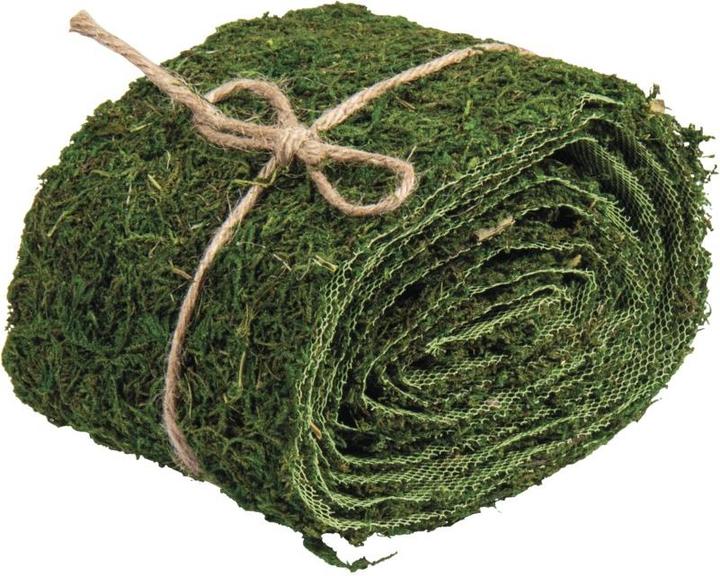 Actual product image Rayher Moss band
