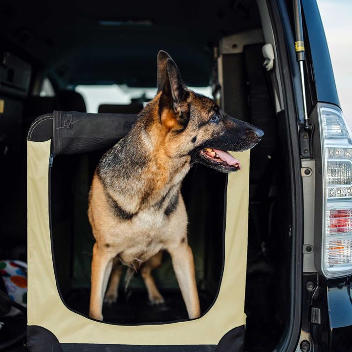 Actual product image Fudajo Transportbox (Dog, Foldable, Breathable)