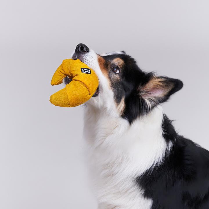 Produktbild Redoggo Schnüffelspielzeug mit Leckerli Taschen (Snackbeutel Hund)