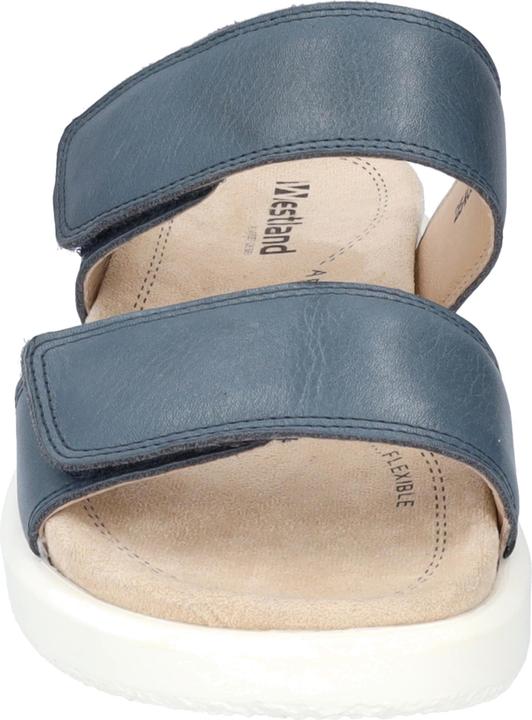 Actual product image Westland 25403-409 (40)