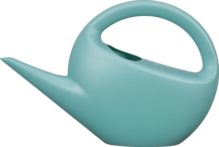 Petrol