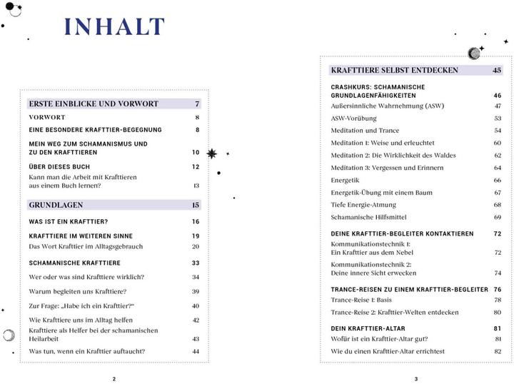 Produktbild Praxisbuch Schamanische Krafttiere – Entdecke deine Seelenbegleiter (Deutsch, Benjamin Maier, 2022)