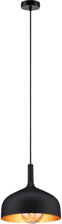 Produktbild Paulmann Embla II (E27)