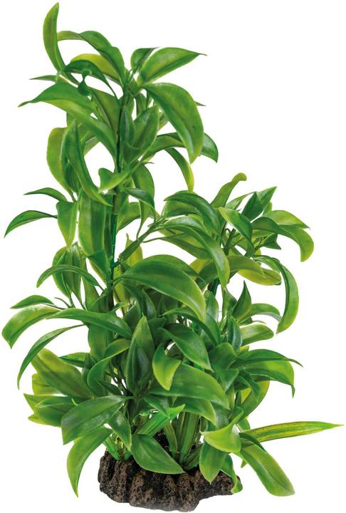 SuperFish Dracaena artificial plant, 25 cm (Plants, Flora)