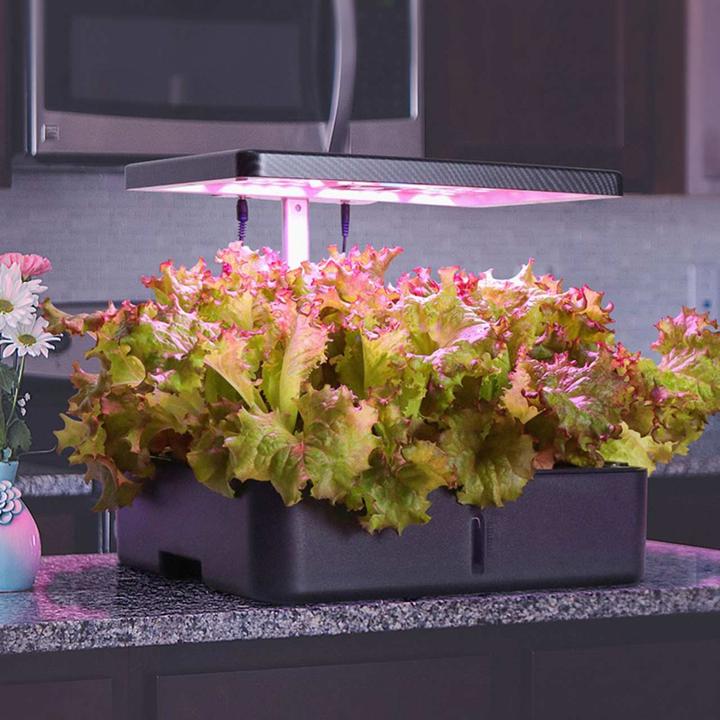 Actual product image Litrax ROBIN Smart Garden 12 (35 x 26 x 30 cm)
