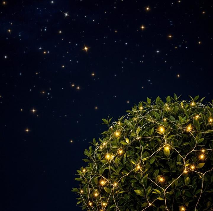 Image du produit GuGus LED Outdoor Lichternetz 360 LED warm weisses Licht 200x200cm Kabelfarbe: Grün (2 m)