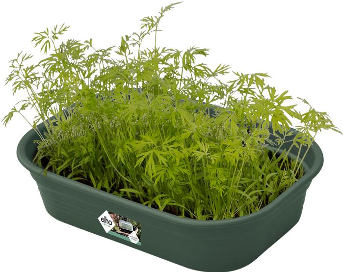 Image du produit Elho Green Basics