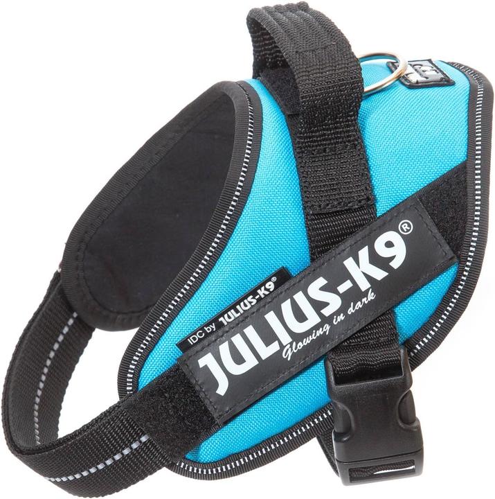 Actual product image Julius-K9 K9 Idc Powerges Mini Mini Aqua (XS, Dog, General)