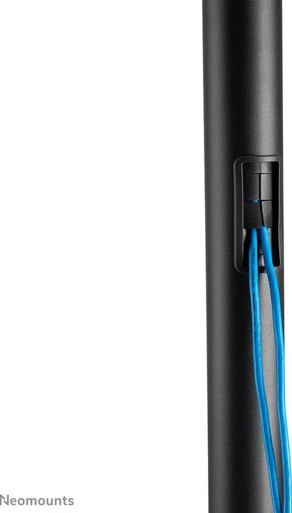 Image du produit Neomounts Mobile Floor Stand incl. AV- (70", 50 kg)