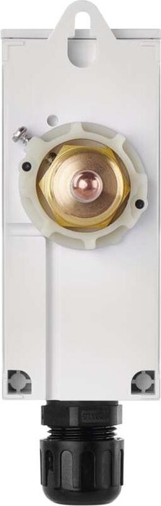Actual product image Emos Thermostat with thermowell P5686