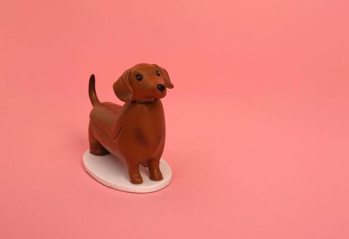 Productafbeelding Kikkerland Dashand