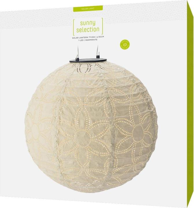 Image du produit STT Lampion