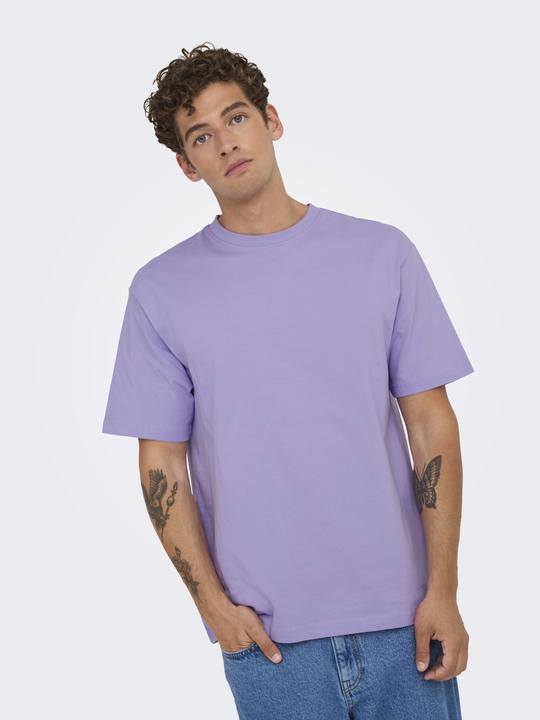 Produktbild Only & Sons Onsfred Life Rlx Ss Tee Noos (S)