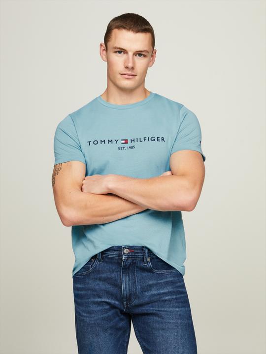 Immagine prodotto Tommy Hilfiger Tommy Logo Tee (M)
