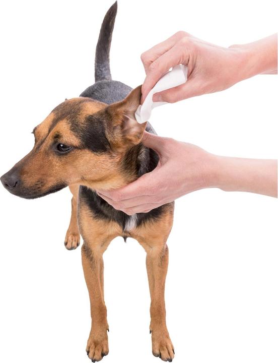 Actual product image Trixie Care wipes for ears 30pcs (Cat, Rodents, Dog)