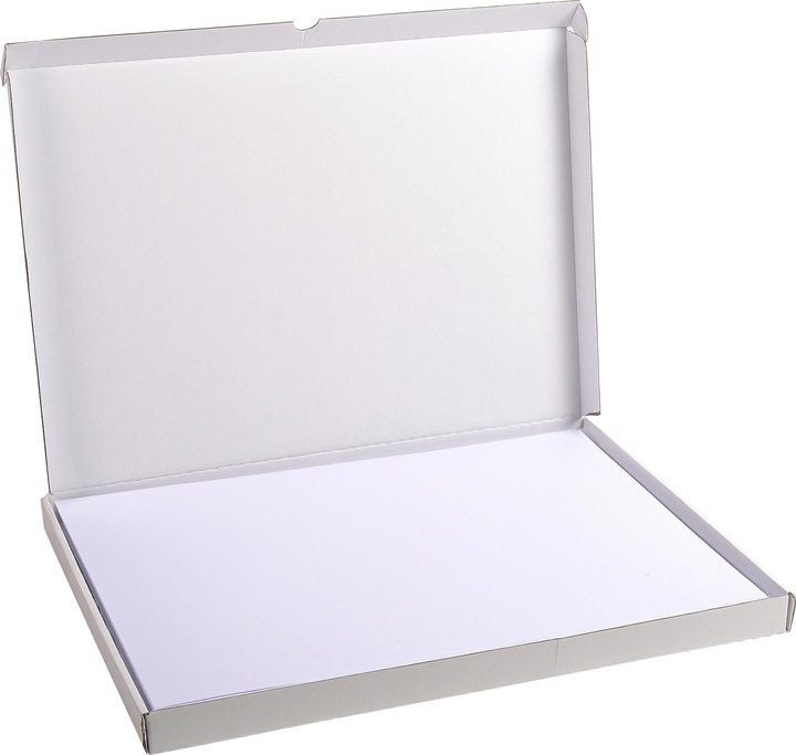 Actual product image Exacompta Index cards (A3, 205 g/m², 100 x)