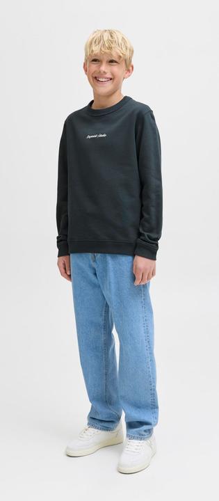 Produktbild Jack & Jones Jornorrebro Emb Sweat Crew Noos Jnr (128)