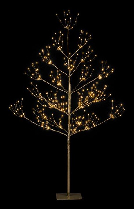 Produktbild STT Champagne Tree