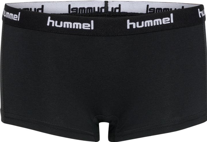 Image du produit hummel Hmlcarolina Hipsters 2pack (98, 104, lot de 2)
