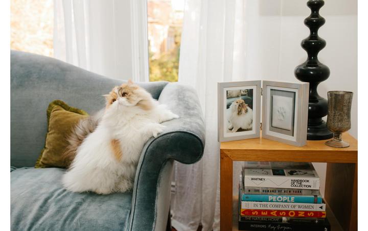 Image du produit Pearhead Cadre de table (10 x 15 cm)