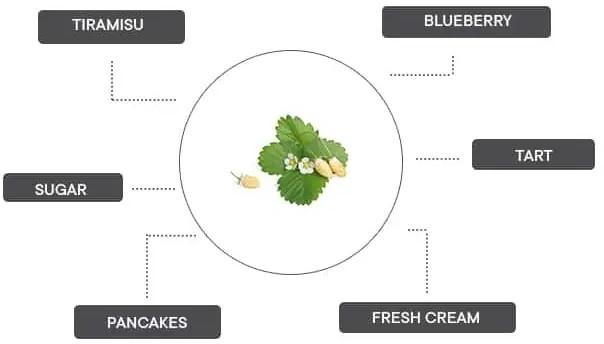 Produktbild Véritable Lingot weisse Waldbeeren BIO (Früchtesamen)