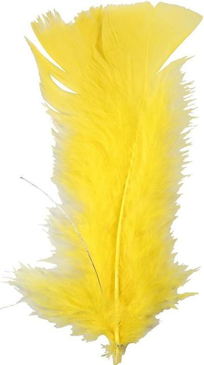 Actual product image Creativ Company Feathers with wire (turkey)