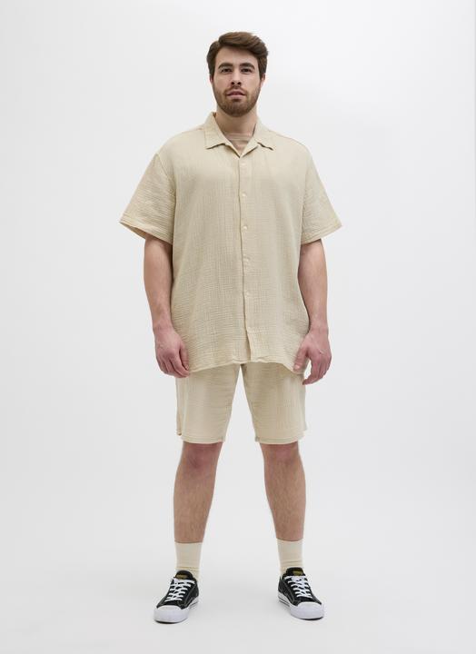 Actual product image Jack & Jones Plus Size Loose Fit Relaxed Fit Shorts Relaxed Fit Shorts (42)