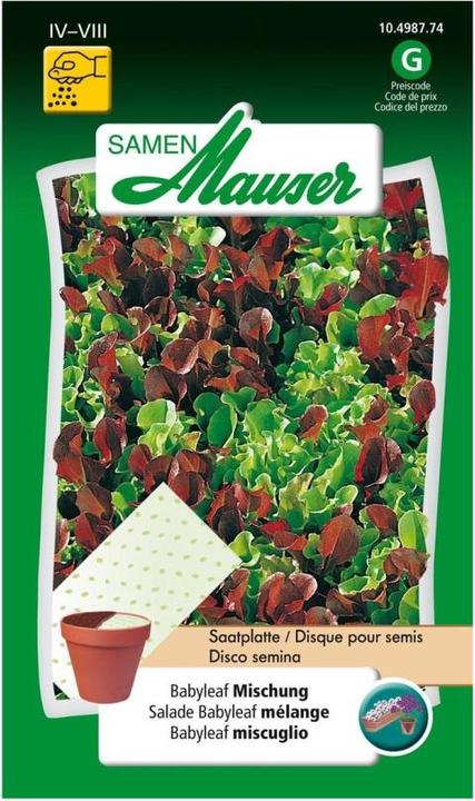 Produktbild Samen Mauser Babyleaf Mischung (Gemüsesamen)
