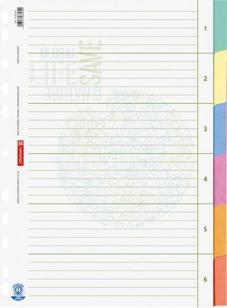 Brunnen Classeur à levier recyclé plein format beige, 6 pièces, 1 pc.