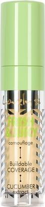 Actual product image Lovely Fresh & Juicy Camouflage Face Concealer 1 4.5G