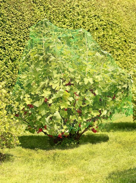 Immagine prodotto Windhager Rete di protezione degli uccelli 10x4m