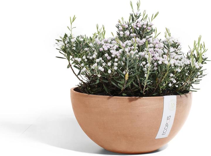 Actual product image Ecopots Brussels