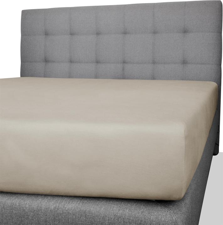 Actual product image Aspero Natal Cotton Fitted Sheet (140 x 200 x 25 cm)