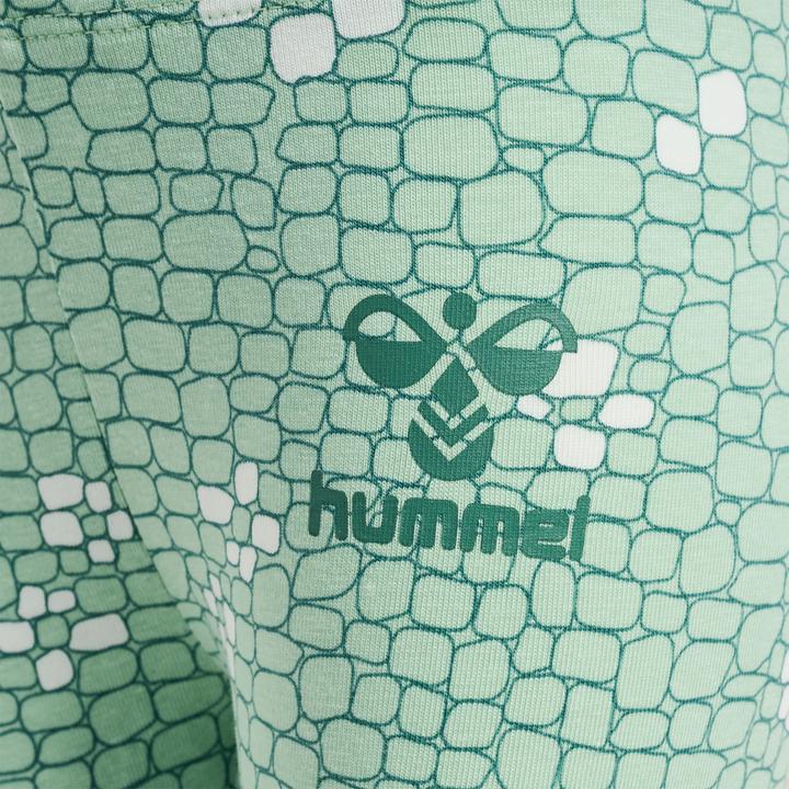 Produktbild hummel hmlZANZI TIGHTS CAPRI (80)