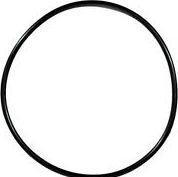 Actual product image Tetra Sealing ring EX 1200 Plus