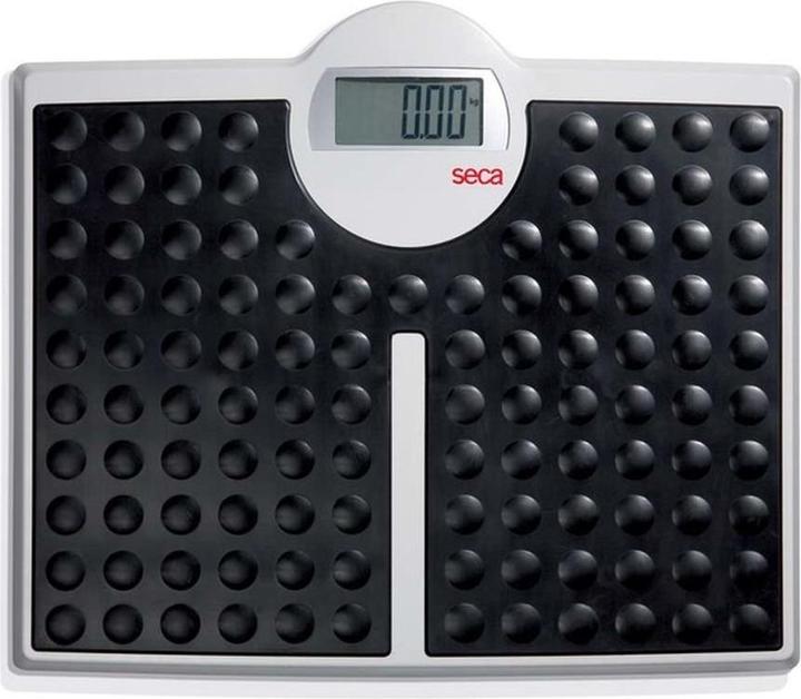 Seca Robusta 813 - Personenwaage (200 kg)