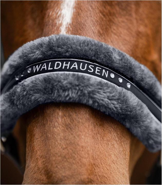 Produktbild Waldhausen Halfter Elegant