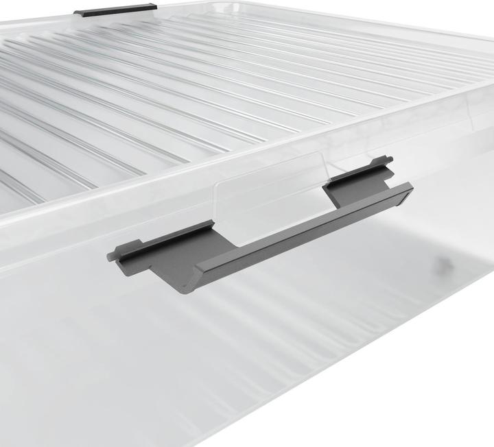 Immagine prodotto Deuba Aufbewahrungsbox (60 x 40 x 17 cm, 30 l)