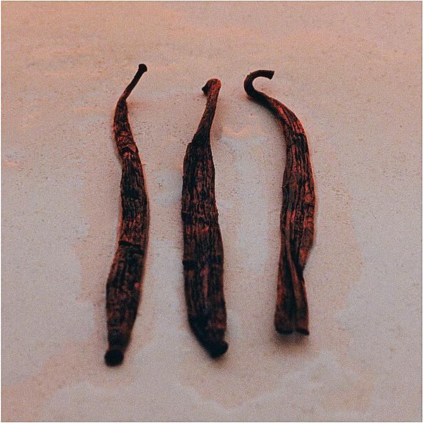 Produktbild Jil Sander Sunset Eau de Parfum Intense (Eau de Parfum, 75 ml)