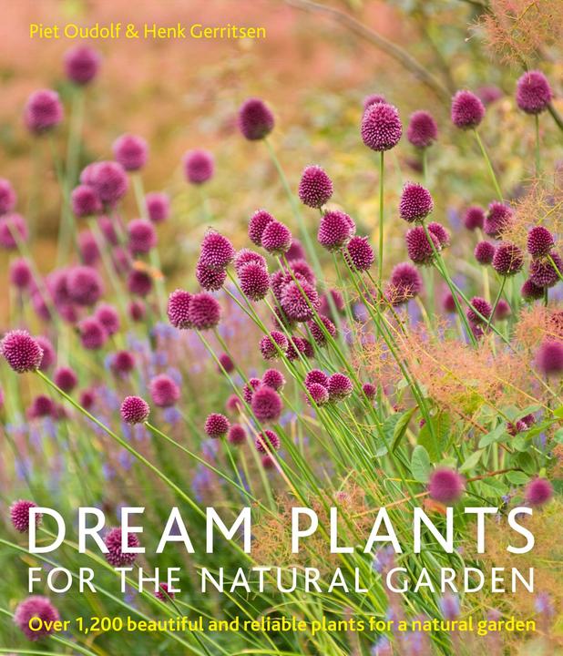 Image du produit Dream Plants for the Natural Garden (Anglais, Gerritsen Henk, Oudolf Piet, 2013)