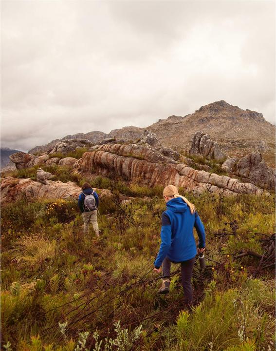 Produktbild Sharp Prime Softshelljacke (L)