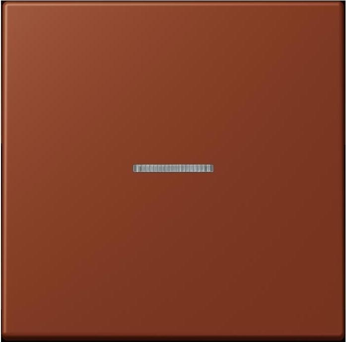 Actual product image JUNG BTLC17101247