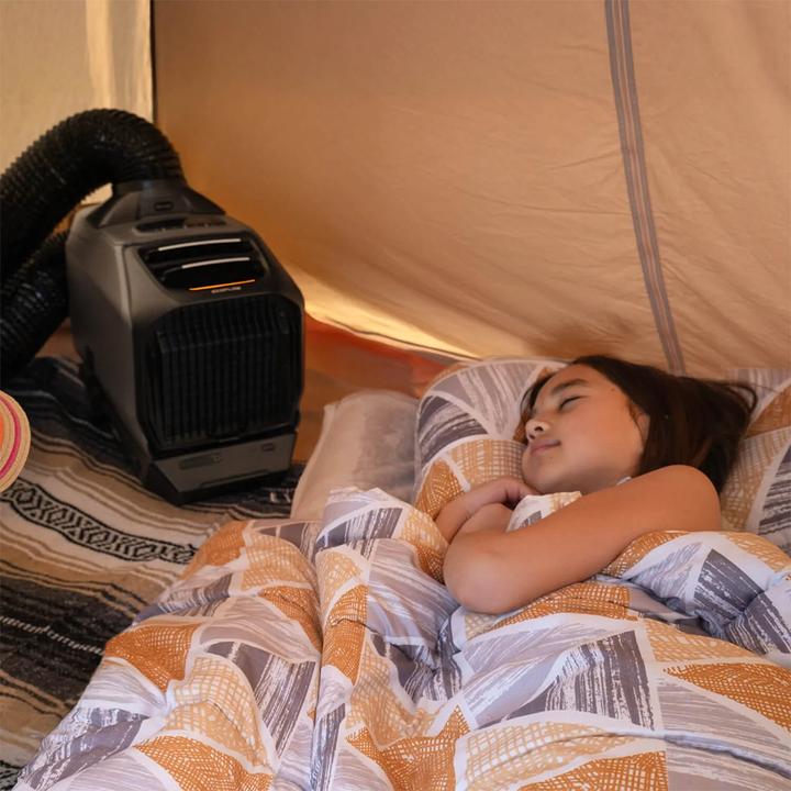 Actual product image EcoFlow Wave 3 (17 m², 6100 BTU/h)