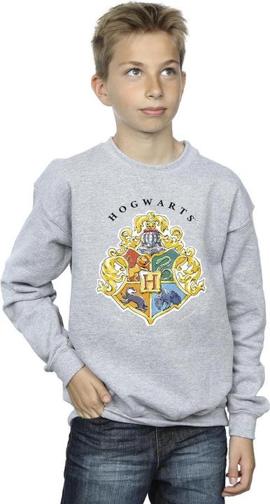 Immagine prodotto Hogwarts School Emblem Felpa Ragazzi (128)